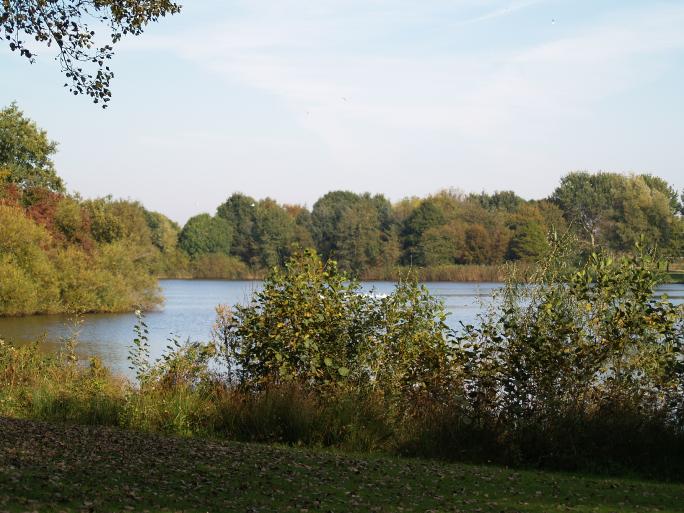 stadspark Winschoten 1