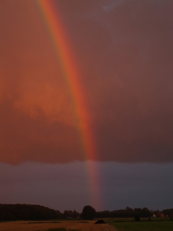 regenboog 1