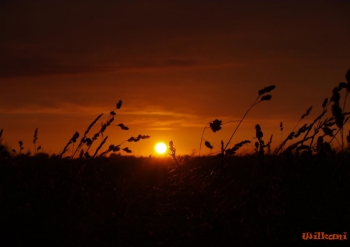 zonsondergang 1