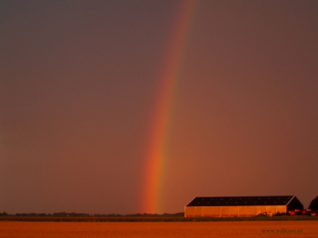 regenboog 2