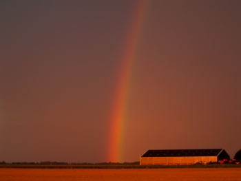 regenboog