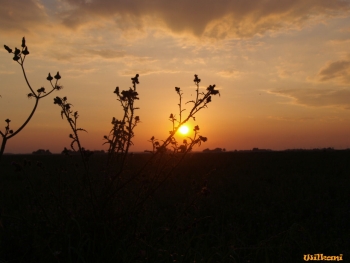 zonsondergang 5